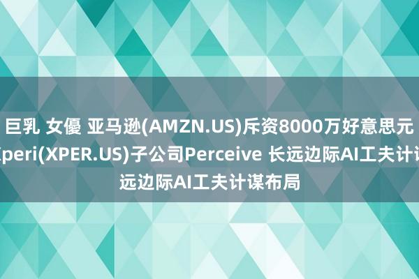 巨乳 女優 亚马逊(AMZN.US)斥资8000万好意思元收购Xperi(XPER.US)子公司Perceive 长远边际AI工夫计谋布局