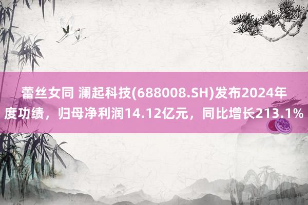 蕾丝女同 澜起科技(688008.SH)发布2024年度功绩，归母净利润14.12亿元，同比增长213.1%