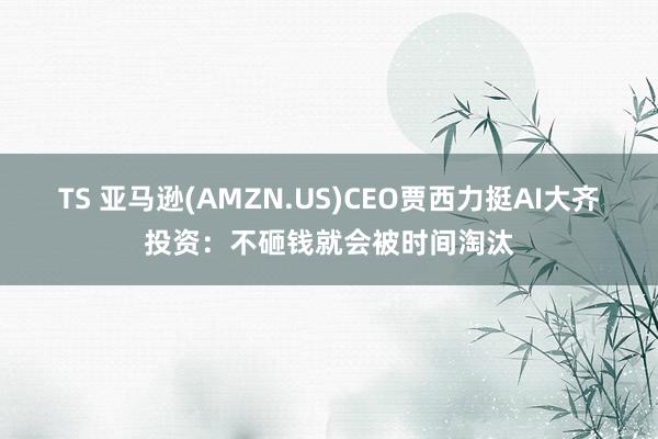 TS 亚马逊(AMZN.US)CEO贾西力挺AI大齐投资：不砸钱就会被时间淘汰